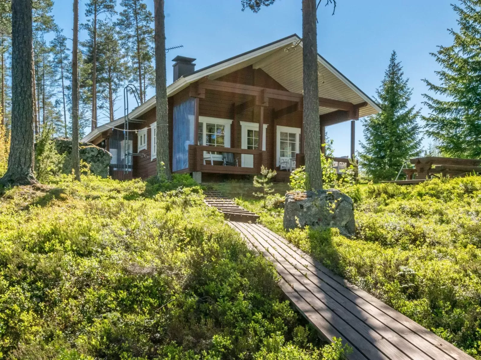 Pajulintu