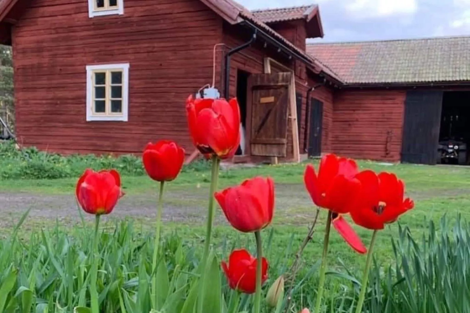 10 persoons vakantie huis in Hedesunda-Buitenlucht