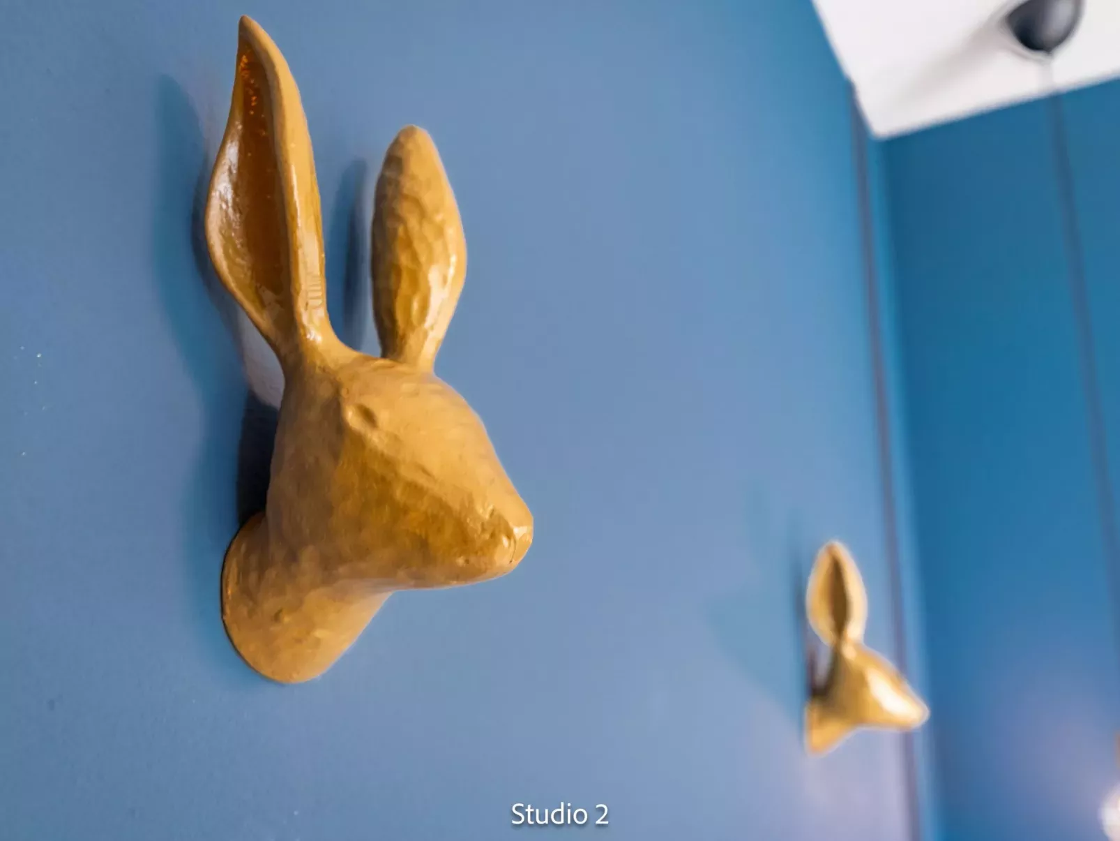 Steil Alva Studios Smit-Binnen