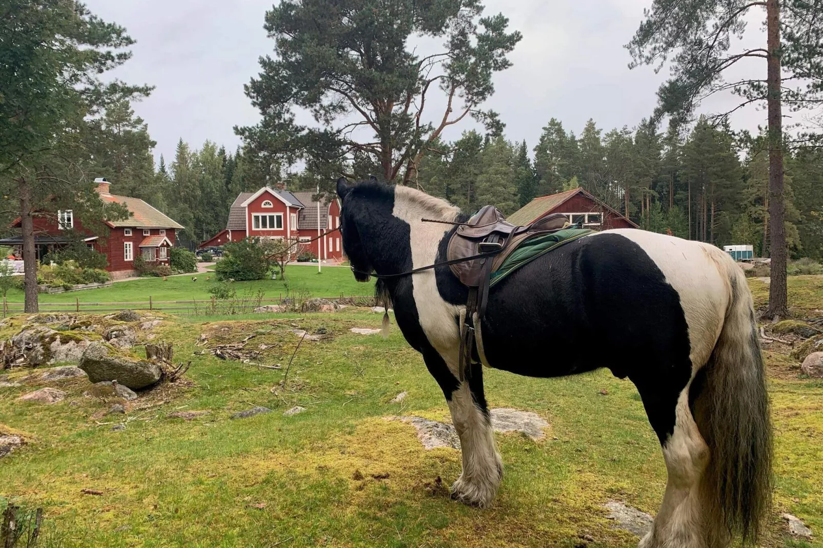 10 persoons vakantie huis in Hedesunda-Buitenlucht