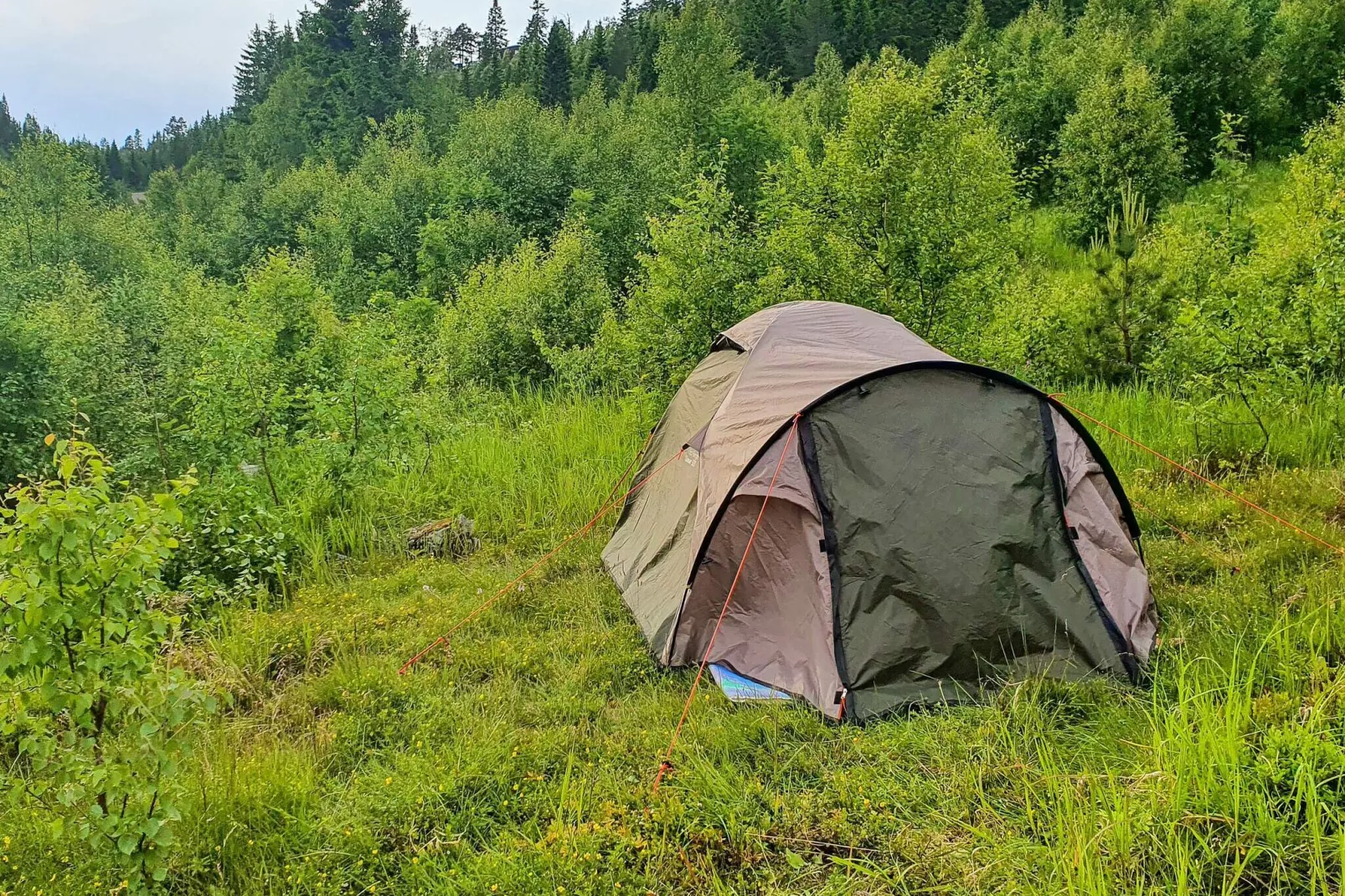 6 persoons vakantie huis in Passebekk-By Traum-Niet-getagd