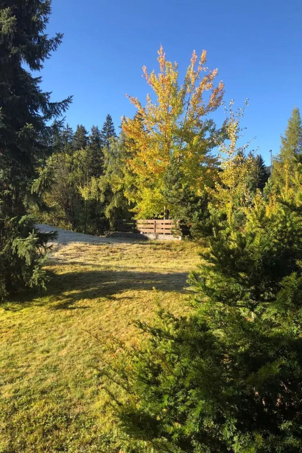 Uehlinger Seegarten Wirz-Buiten