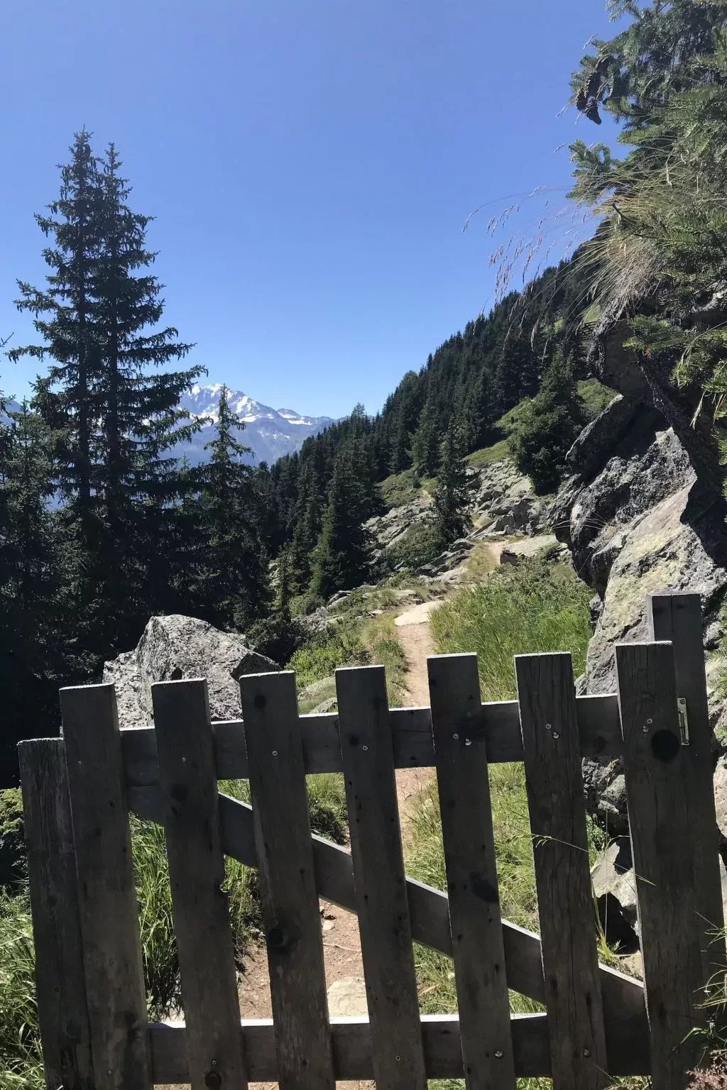 Almenrausch 1. OG Süd-Ost-Buiten