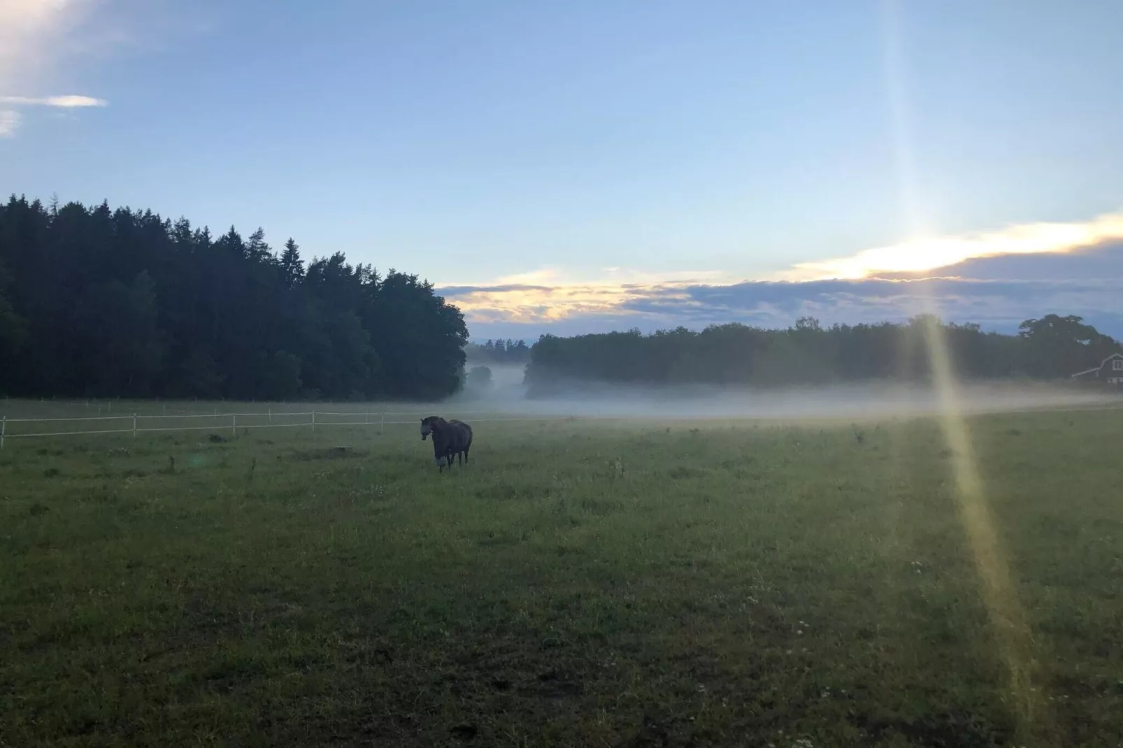 5 persoons vakantie huis in SVARTSJÖ-Niet-getagd