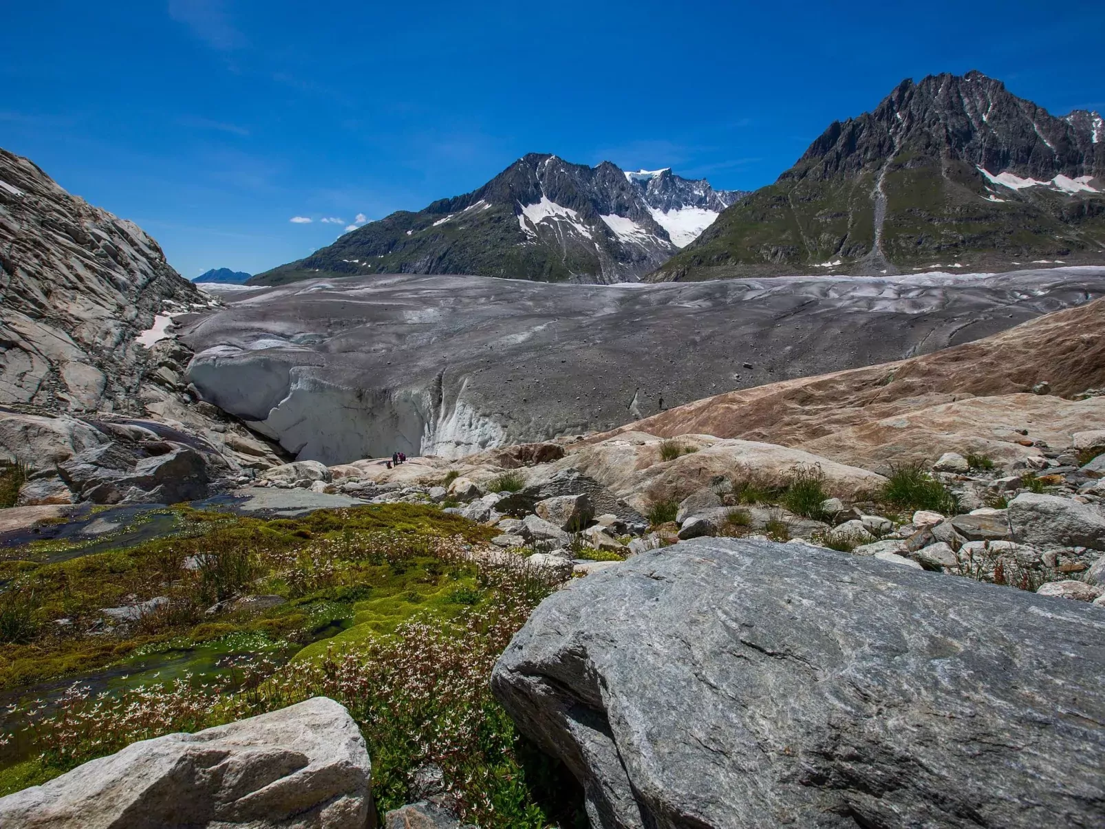 Alphütte Bielerchäller-Buiten