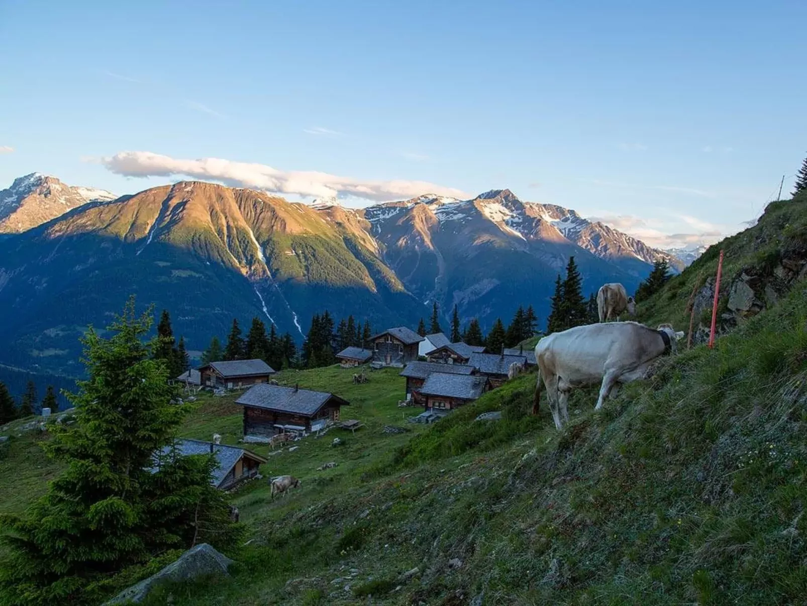 Alphütte Bielerchäller-Buiten