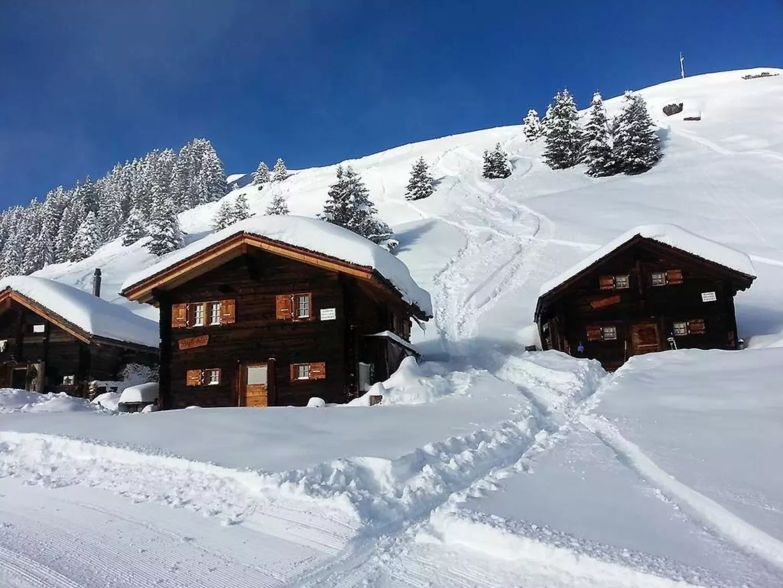 Alphütte Bielerchäller-Buiten