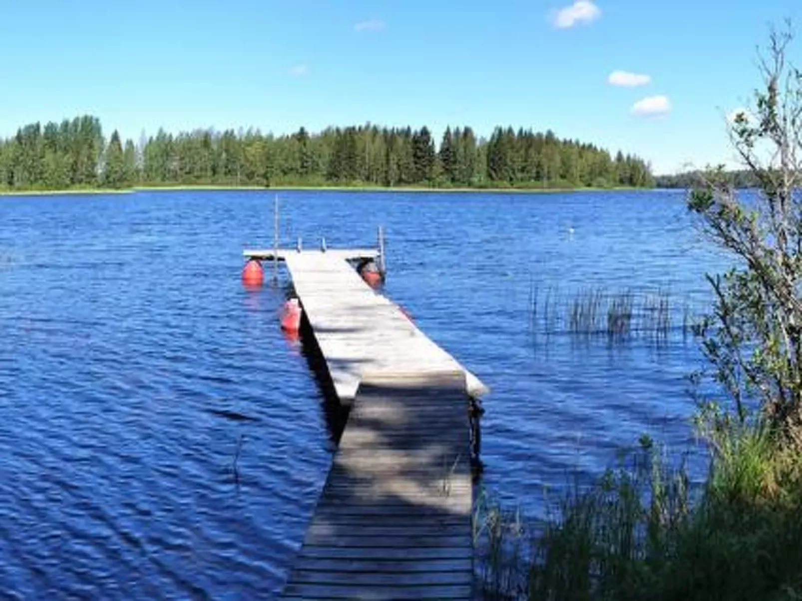 Niittylahti