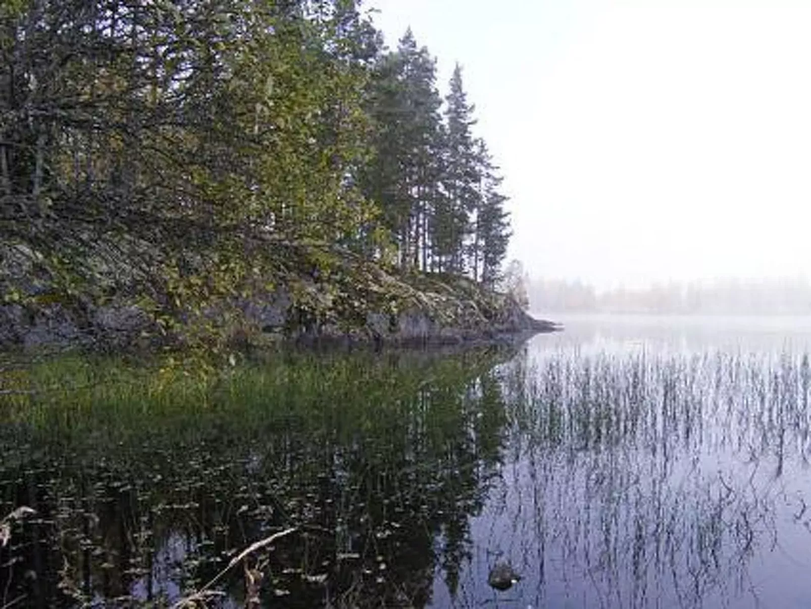 Niittylahti-Buiten