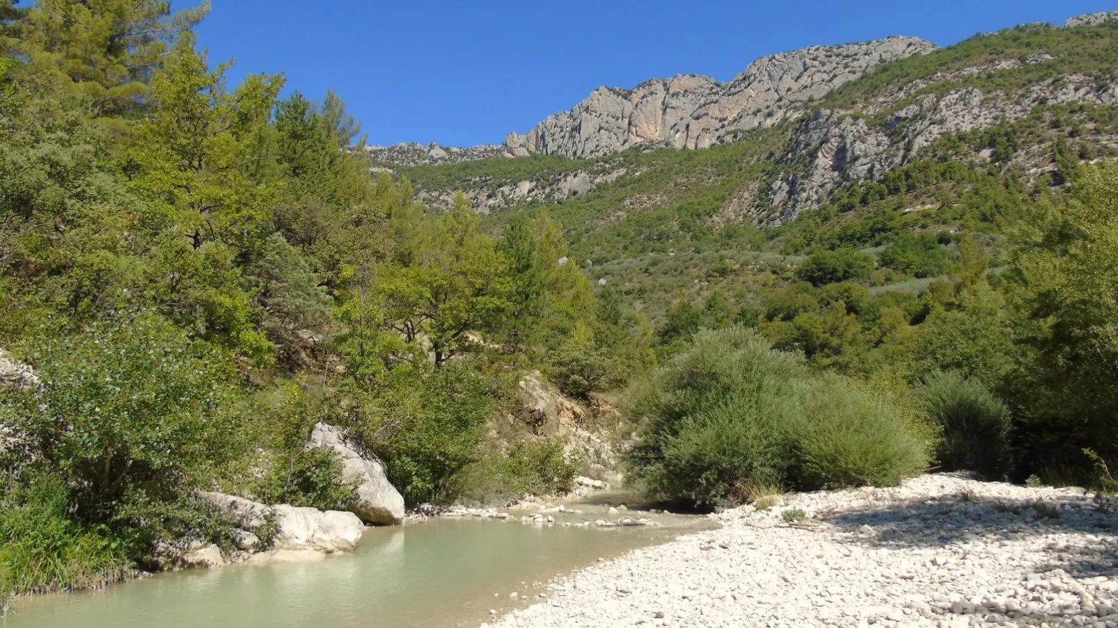 La grande Pinède-Gebieden zomer 5km