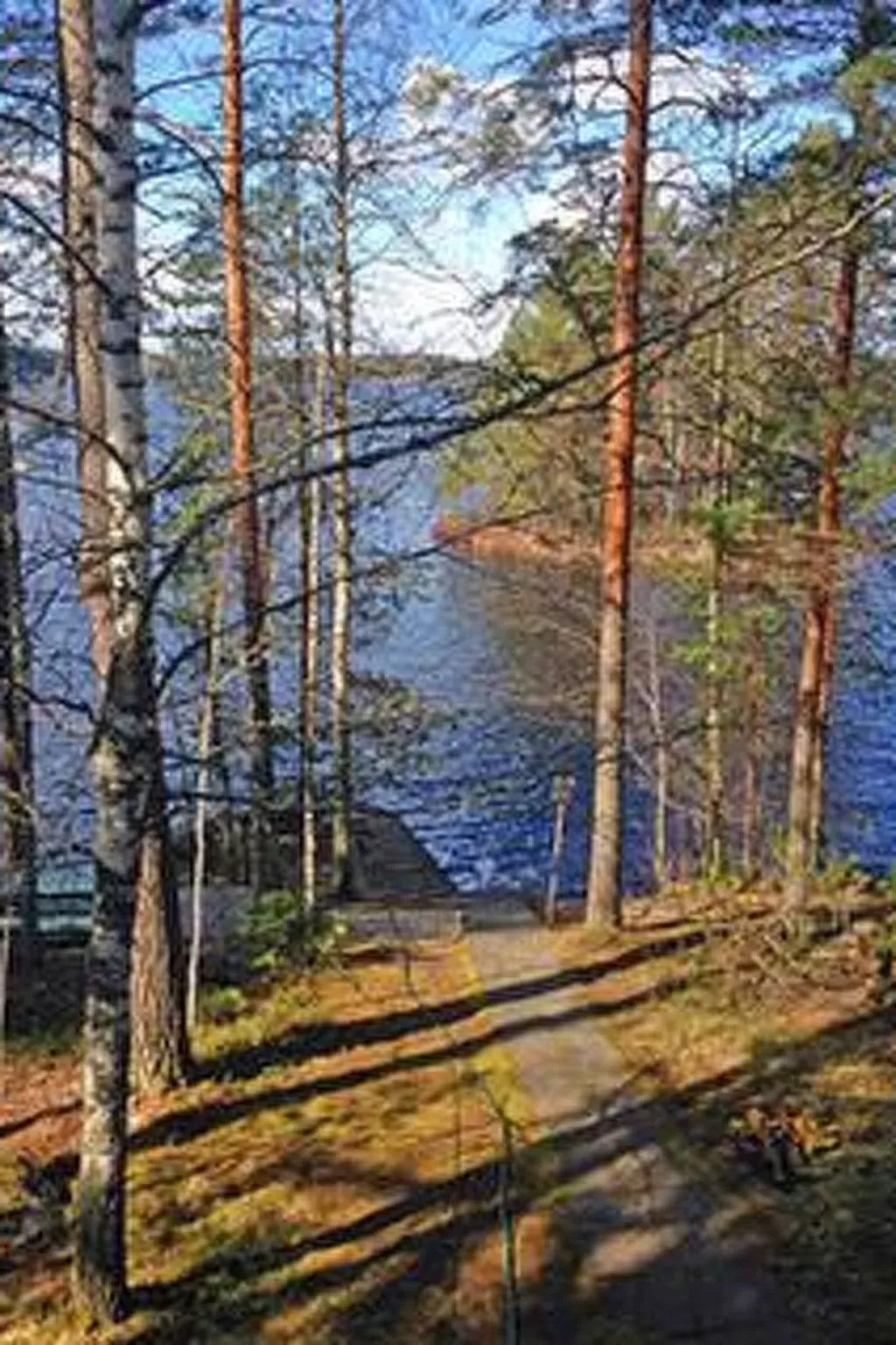 Tipuniemi-Buiten