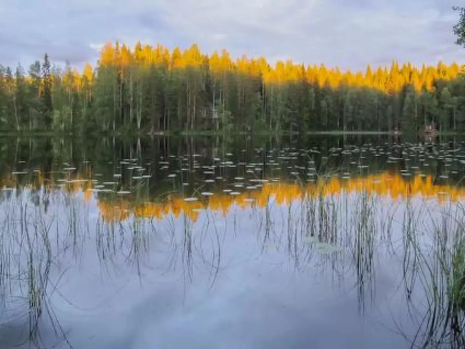 Aurinko-Buiten