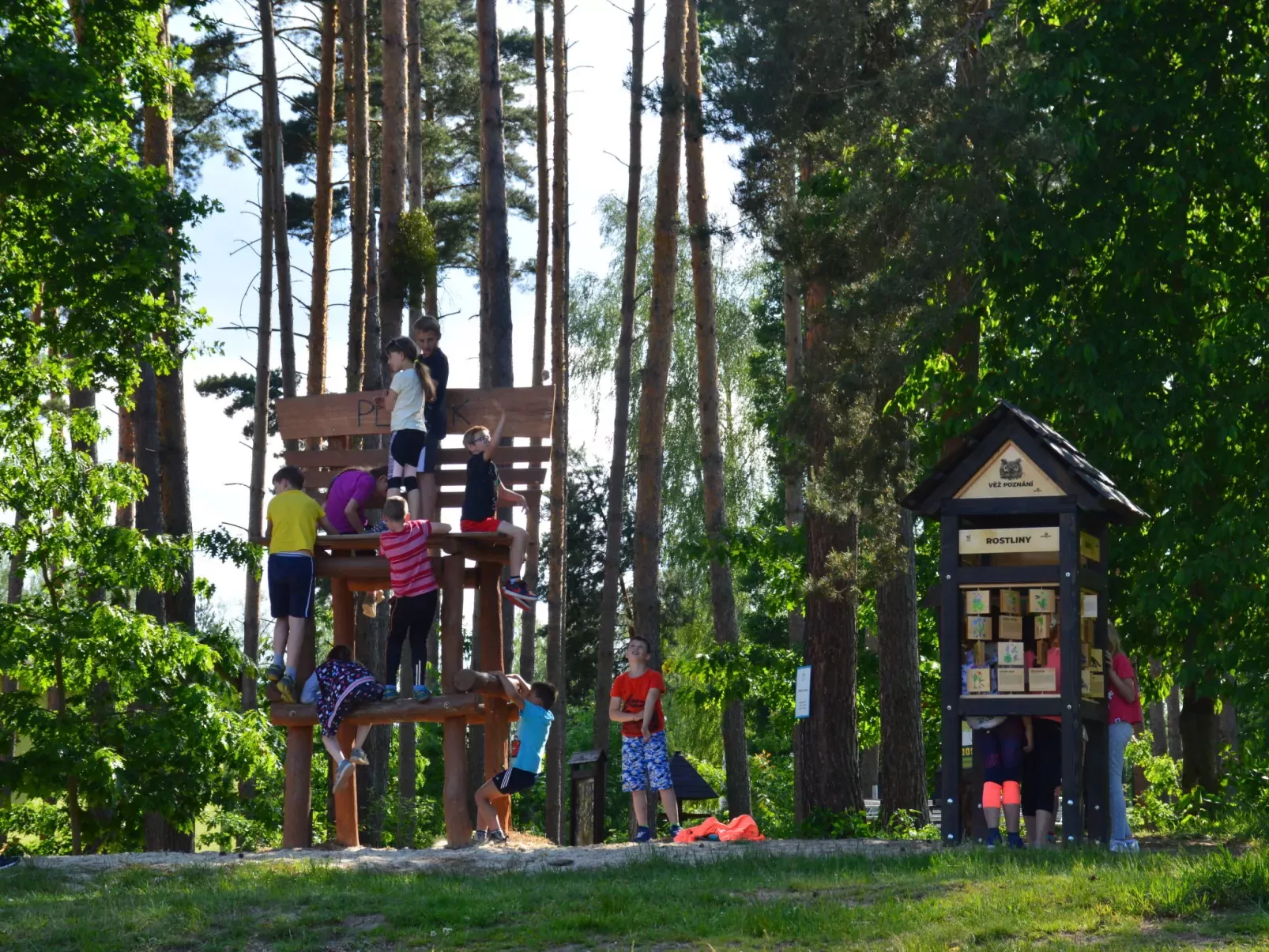 Treehouse 2-Buiten