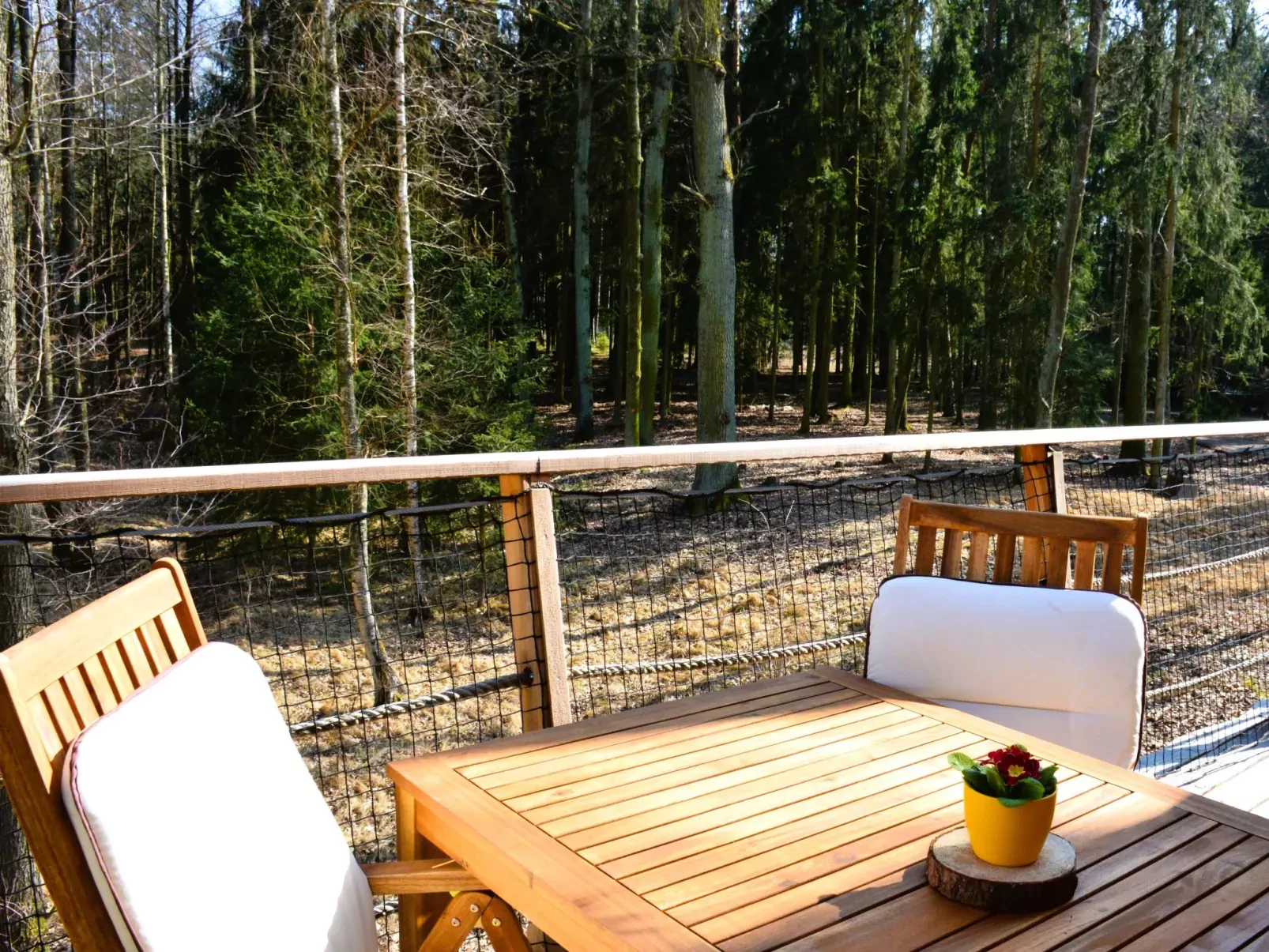 Treehouse 1-Buiten