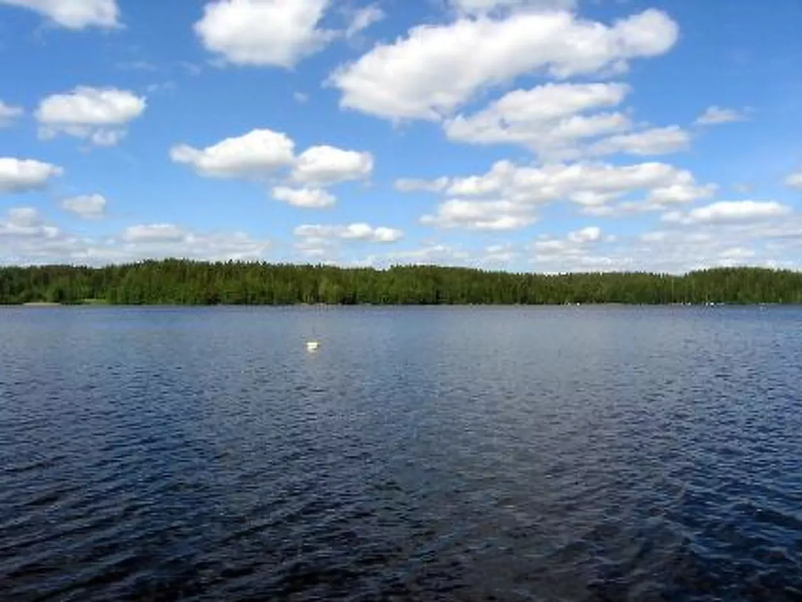 Lomakuikka-Buiten
