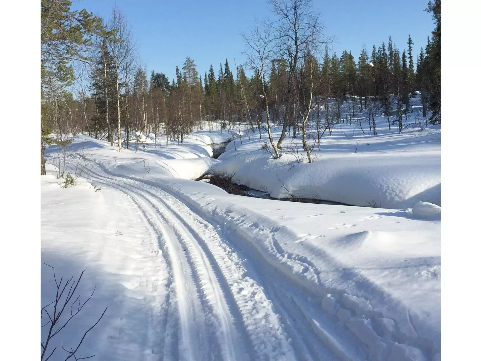 Sallanhelmi a2-Buiten