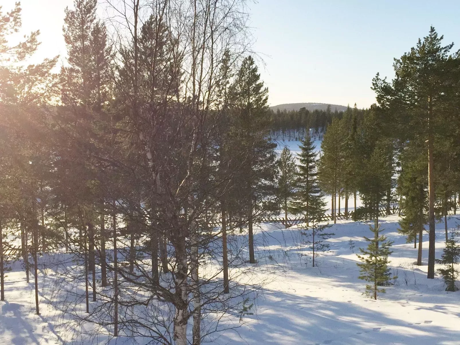 Sallanhelmi a2-Buiten
