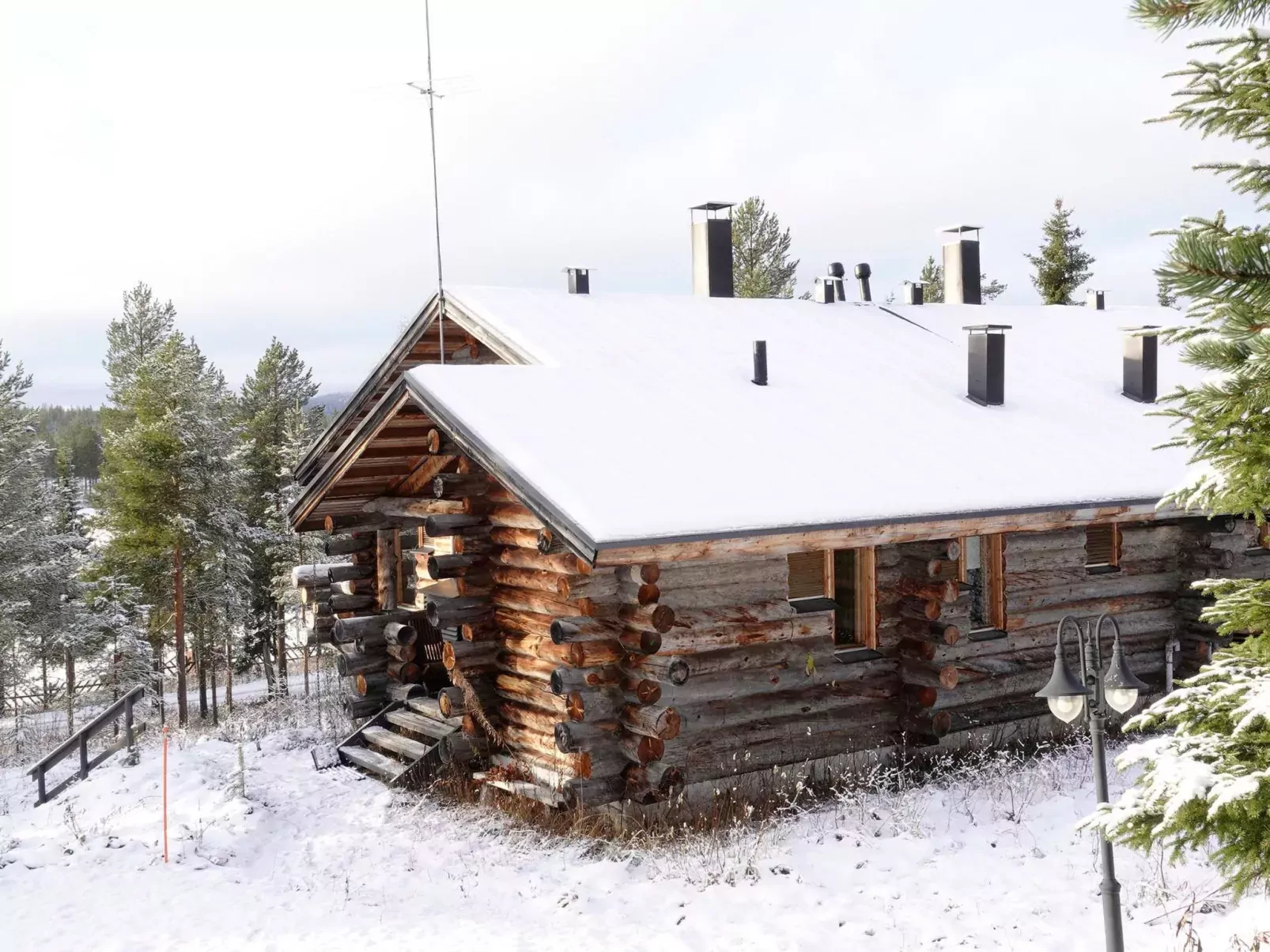 Sallanhelmi a2-Buiten