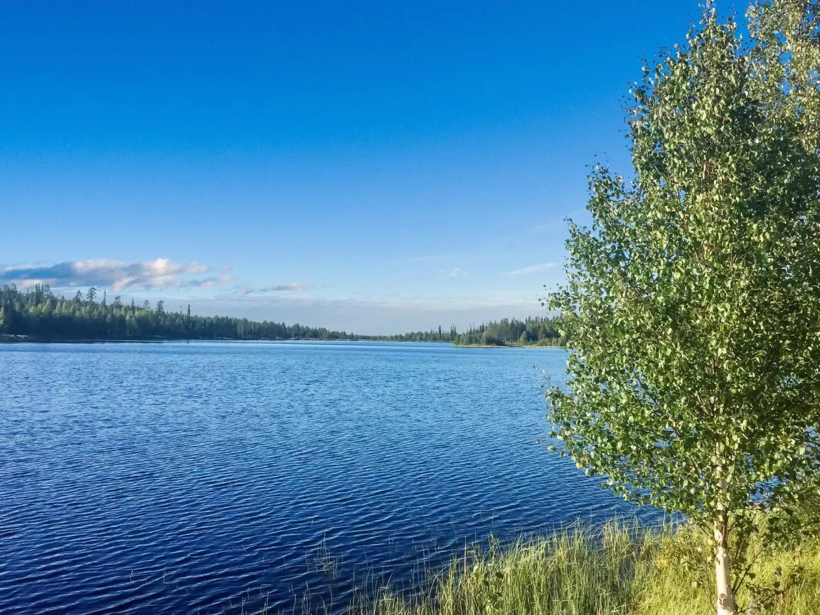 Sallanhelmi a2-Buiten