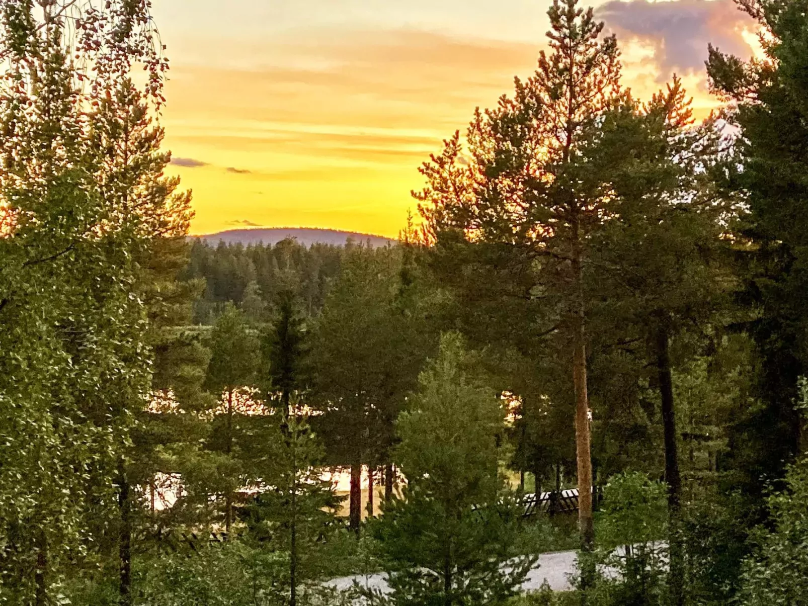 Sallanhelmi a2-Buiten