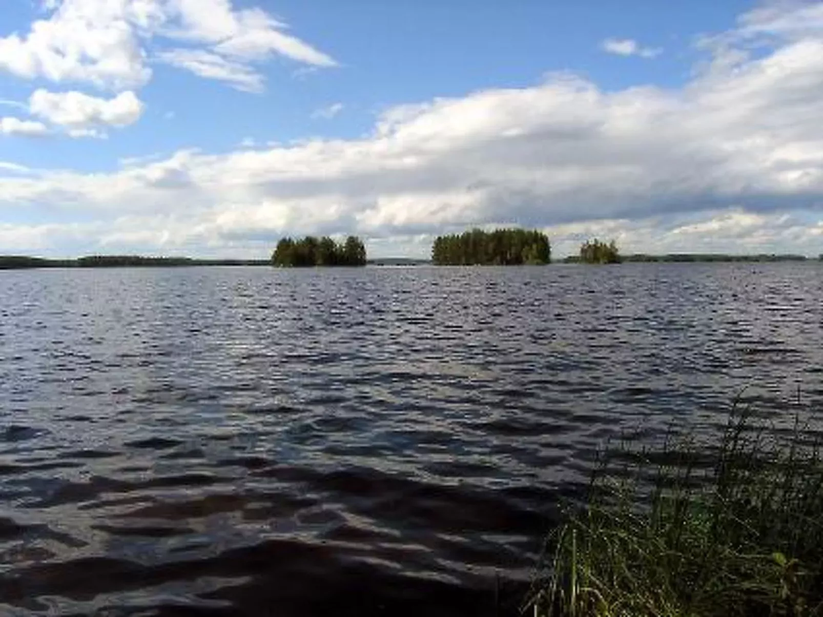 Puolukka-Binnen