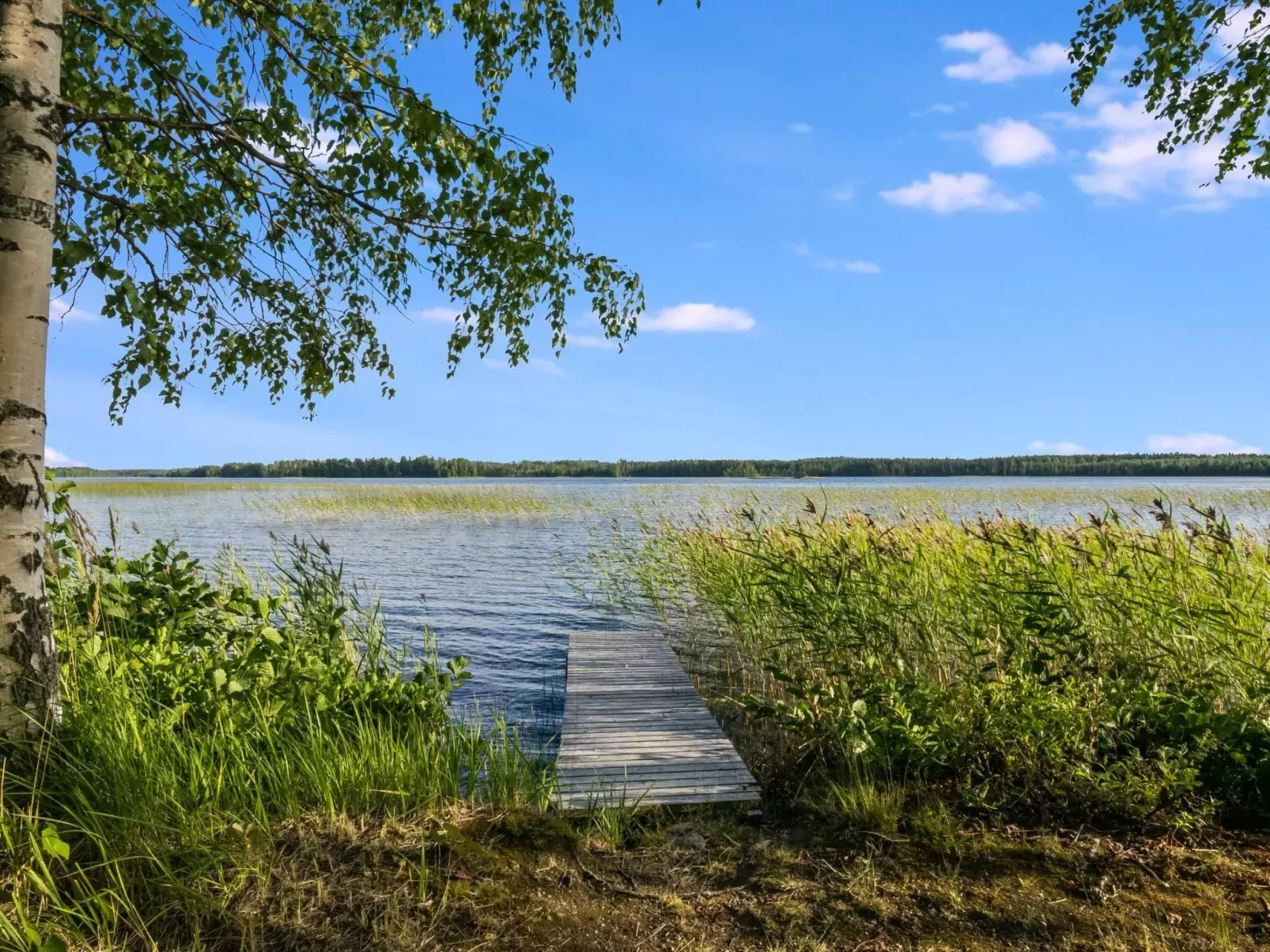 Kekkola