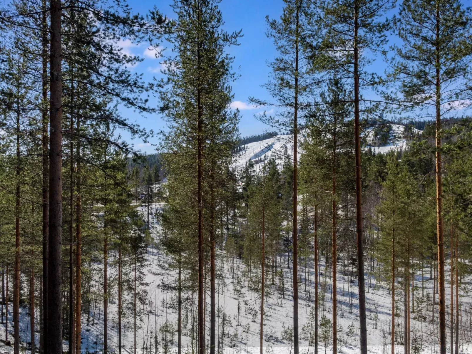 Vuokatti cabin 16-Buiten