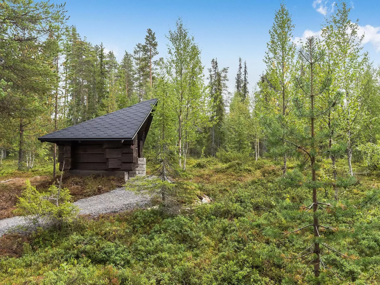 Päivänsäde 8 lapinkulta-Buiten