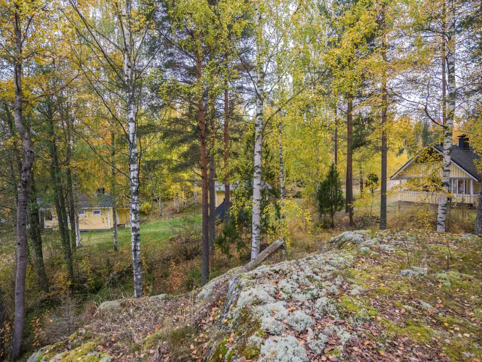 Orava-apaja-Buiten