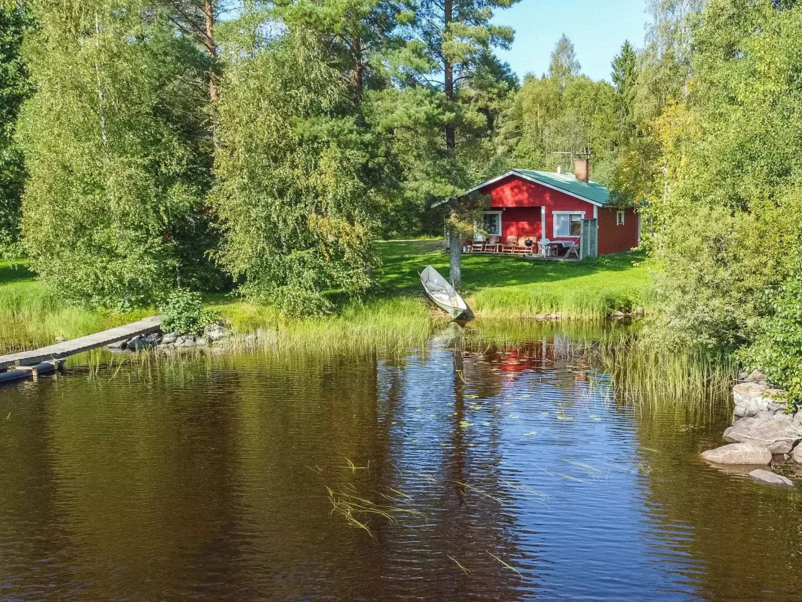 Saniainen 5
