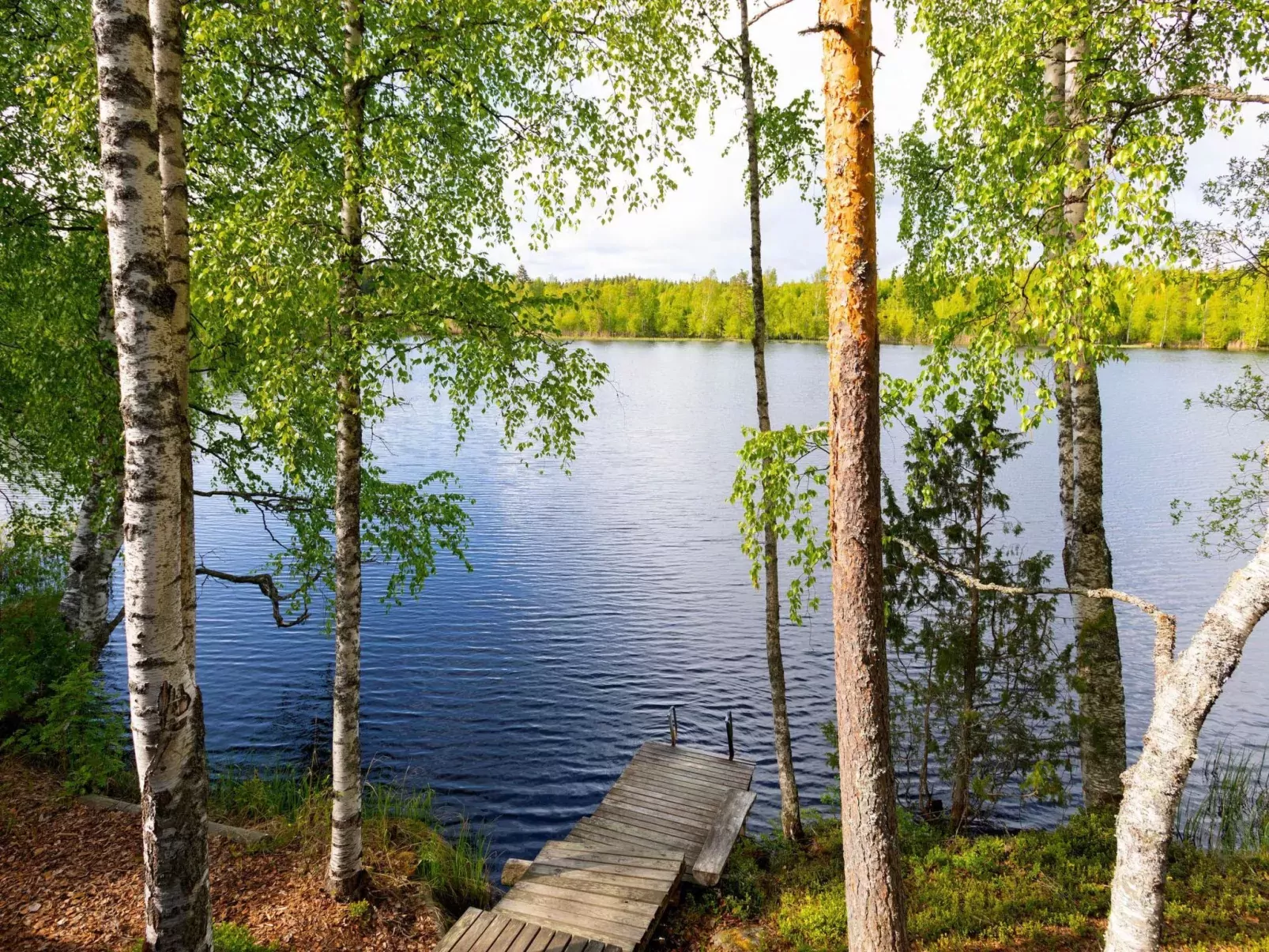 Havukka-Buiten