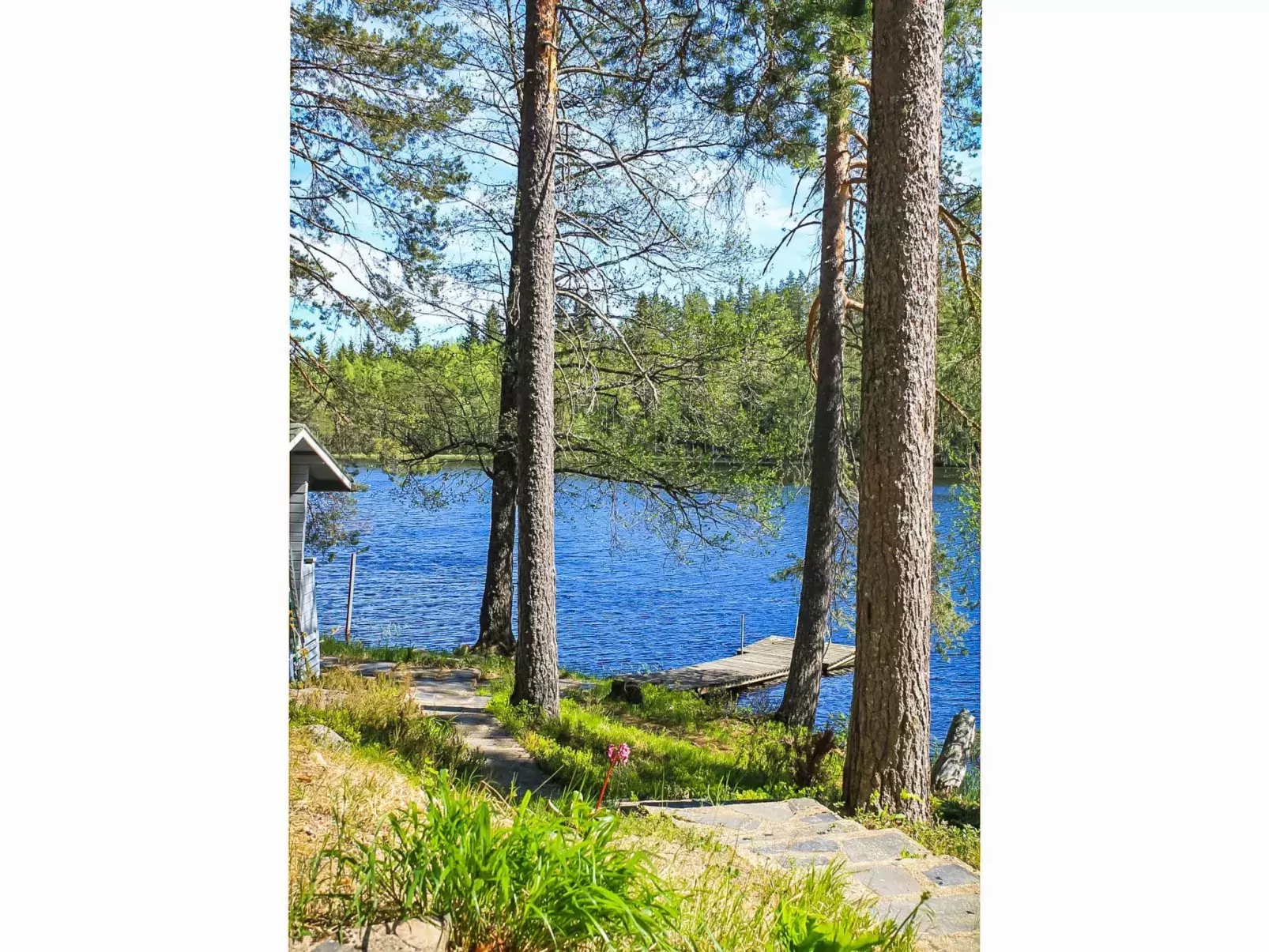 Heinälampi-Buiten