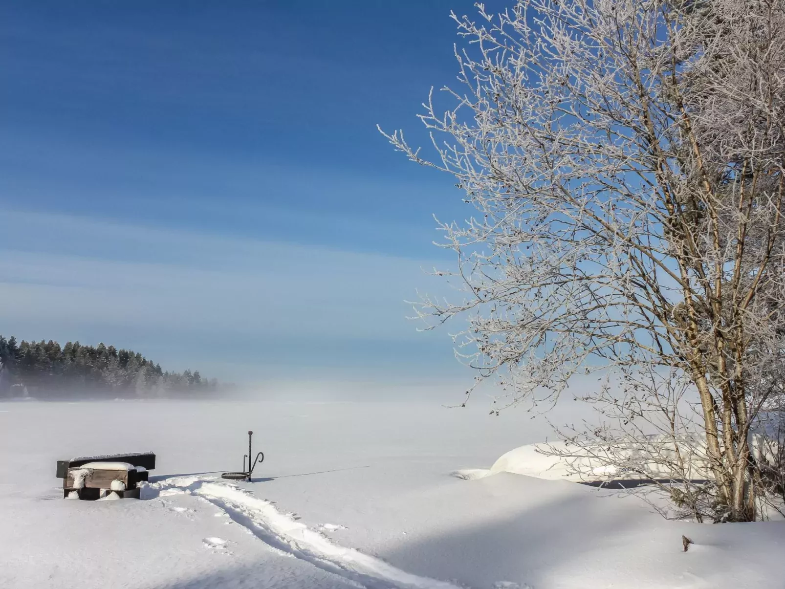 Hamppulahti-Buiten
