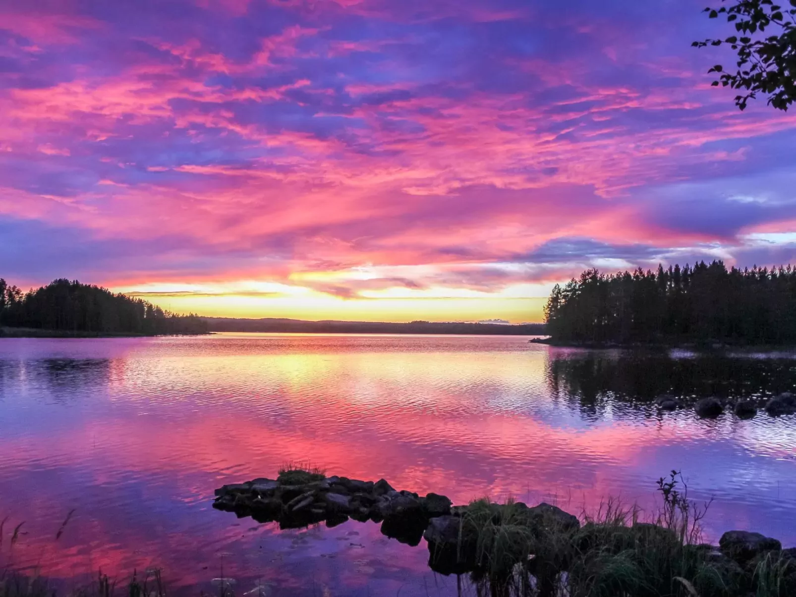 Hamppulahti-Buiten