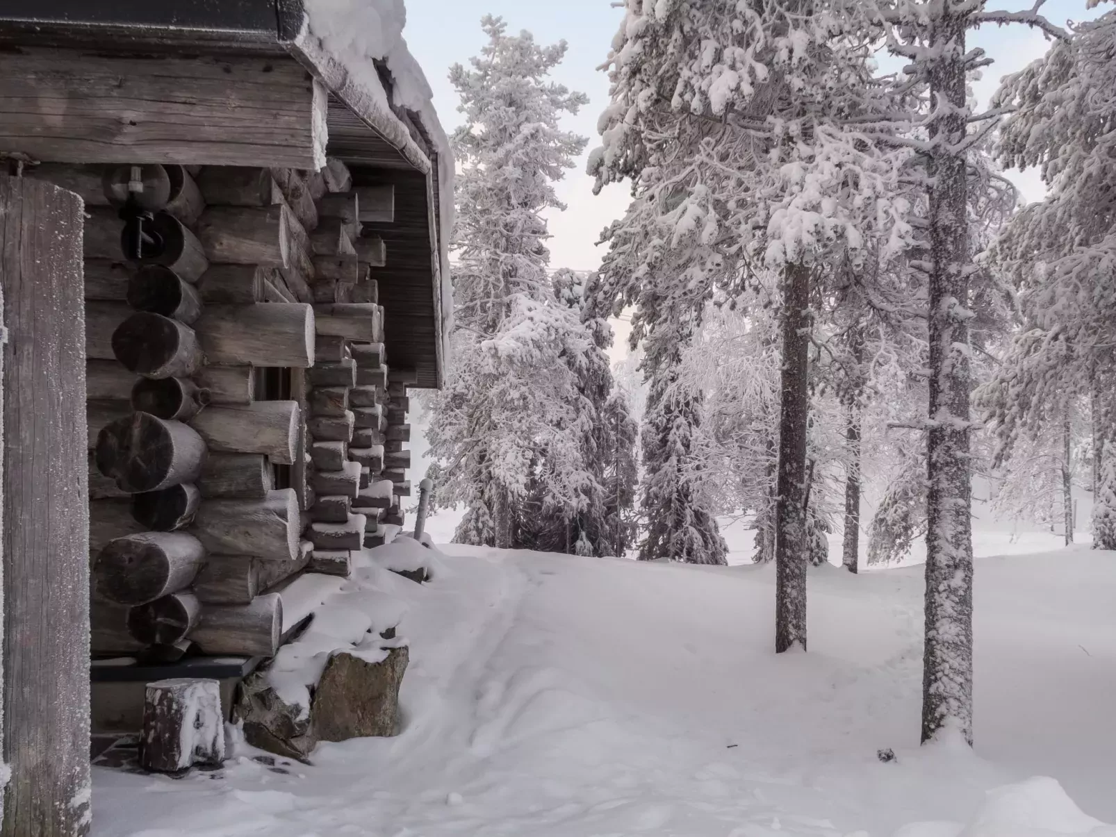 Rukakämmekkä-Buiten