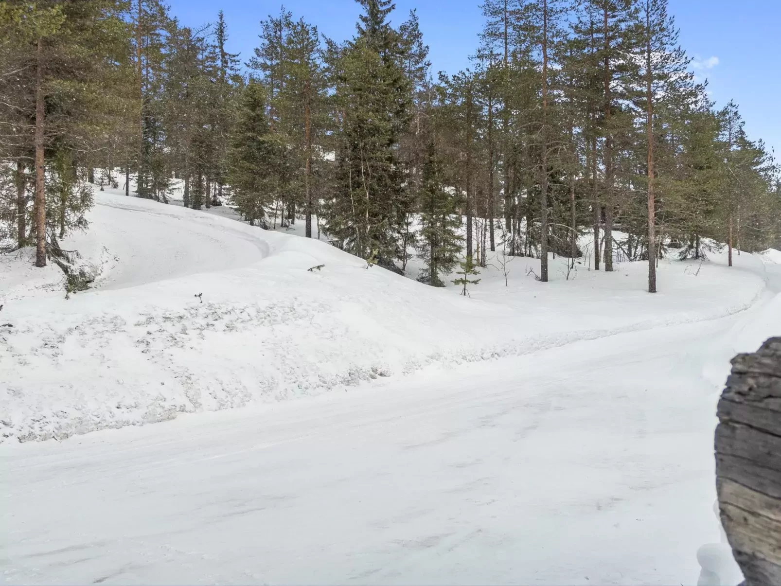 Rukakämmekkä-Buiten