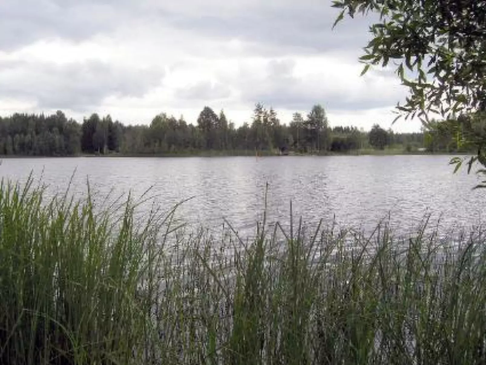 Petäjäniemi-Binnen