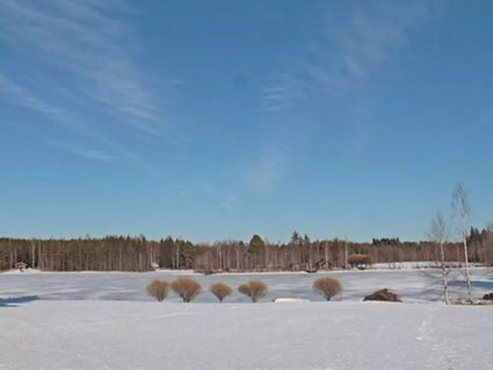 Petäjäniemi-Binnen