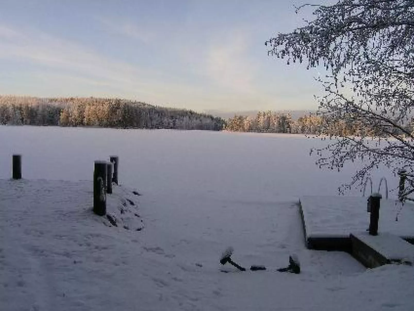 Koivukallio-Buiten