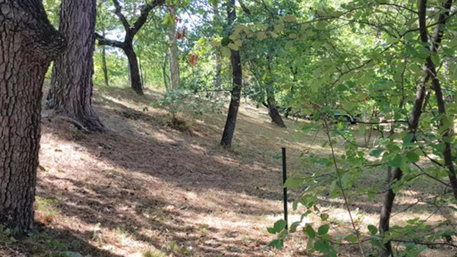 La petite Pinede-Gebieden zomer 1km