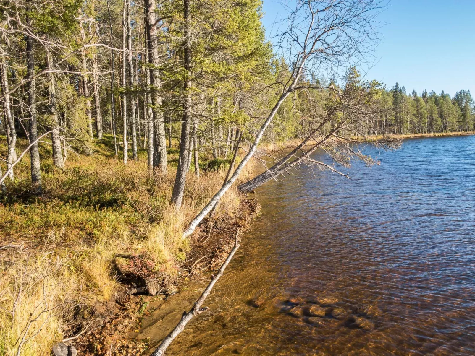 Putilanranta-Buiten