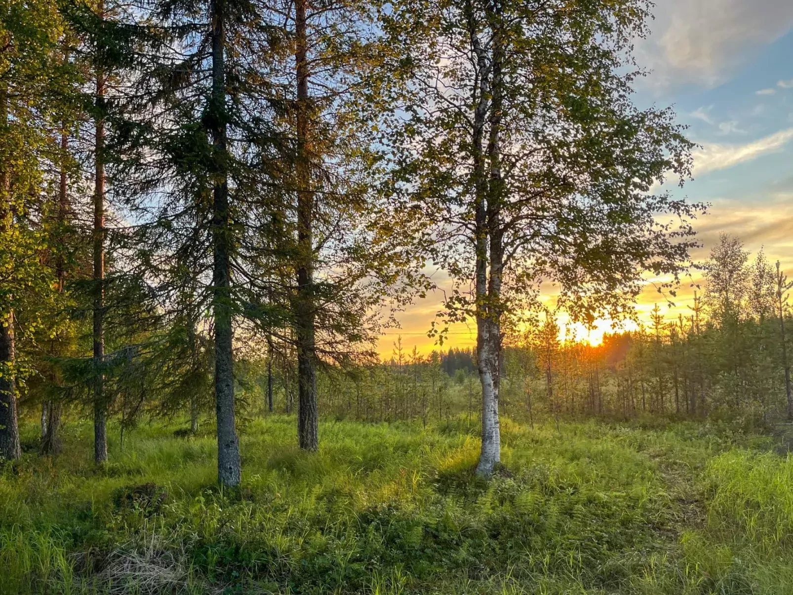 Keloveska-Buiten
