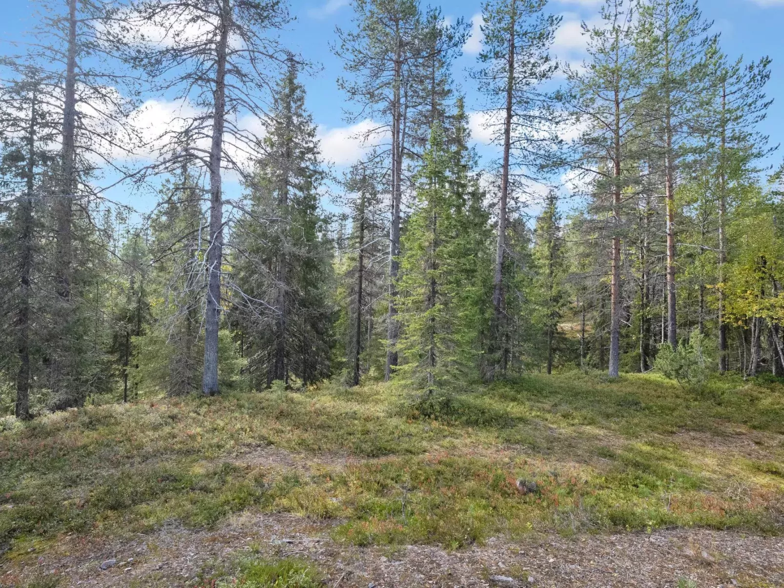 Karhunpesä-Buiten