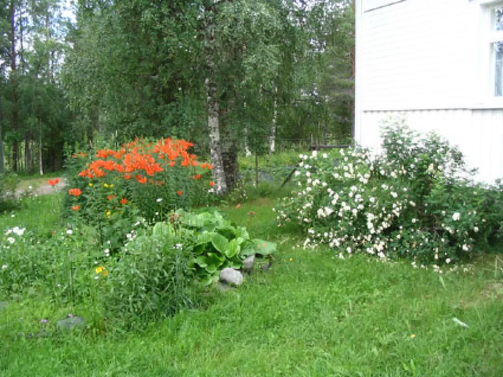 Rantala-Buiten