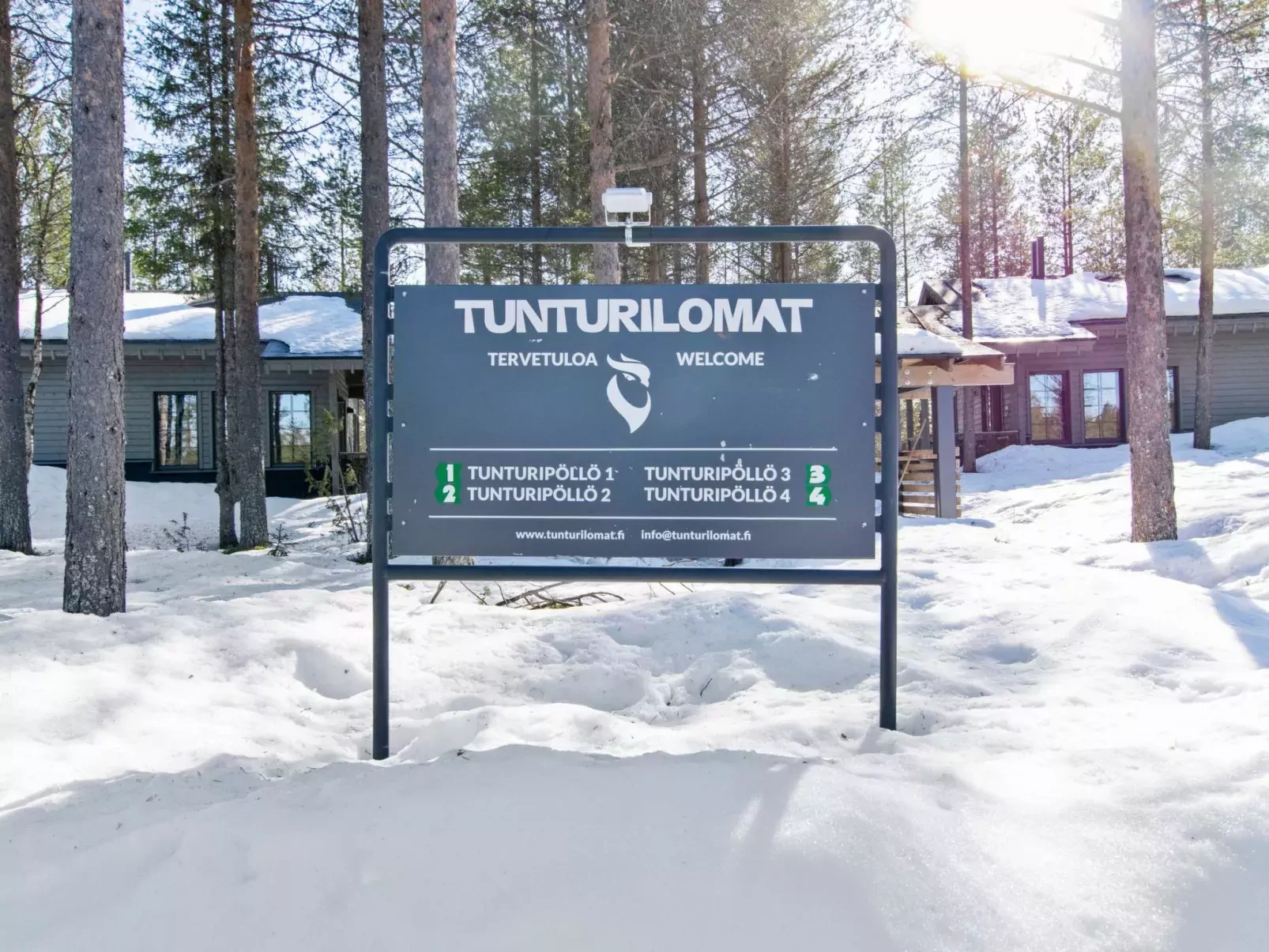 Tunturipöllö 4-Buiten
