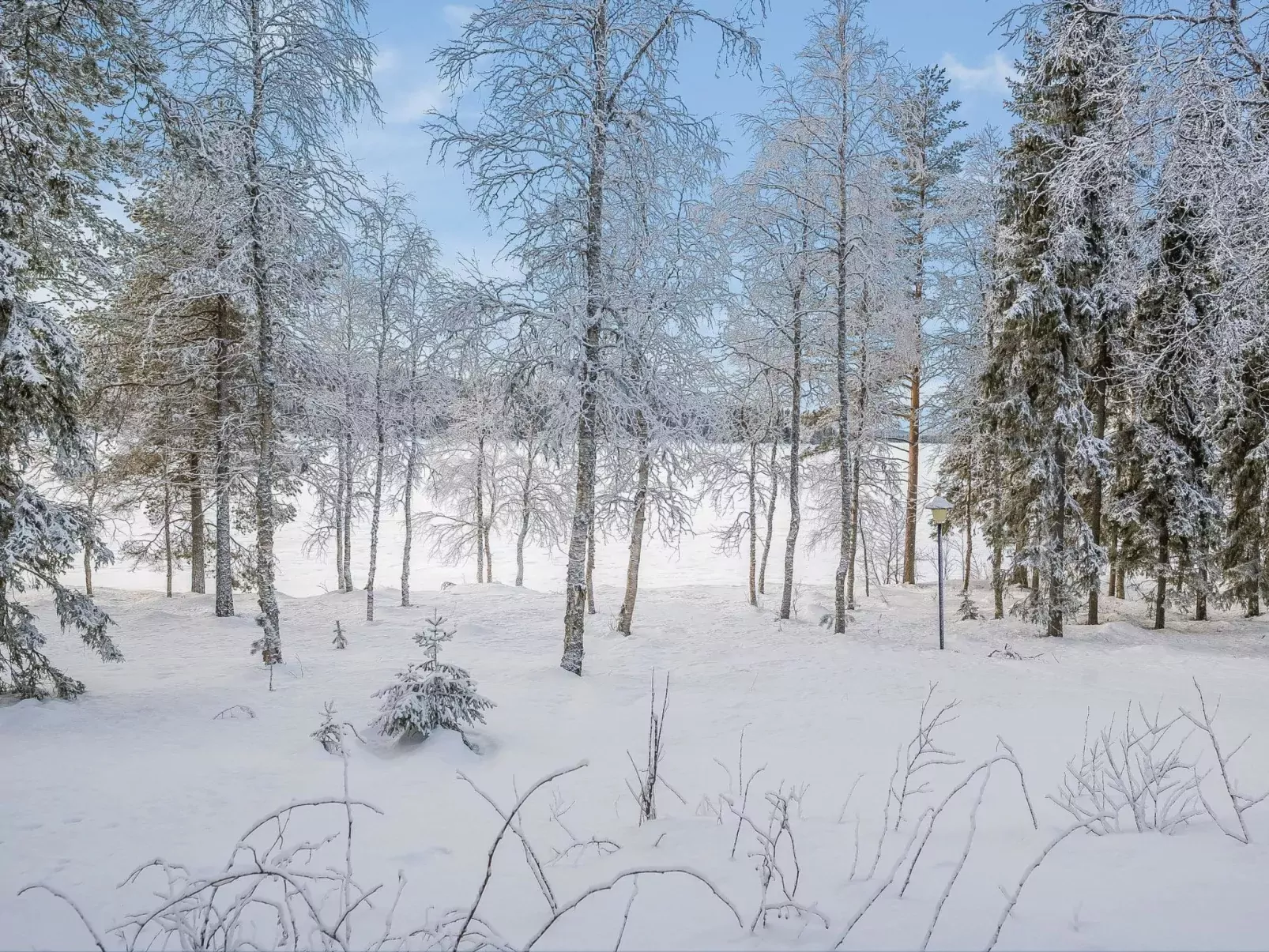 Kuontijärvi b-Buiten
