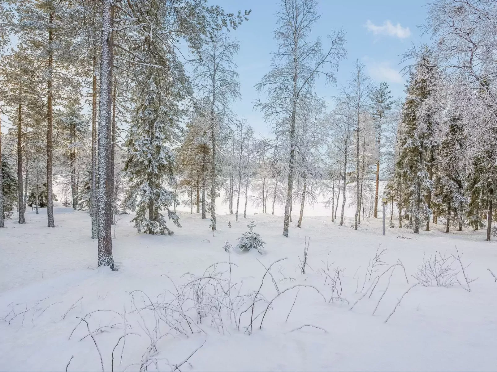 Kuontijärvi a-Buiten