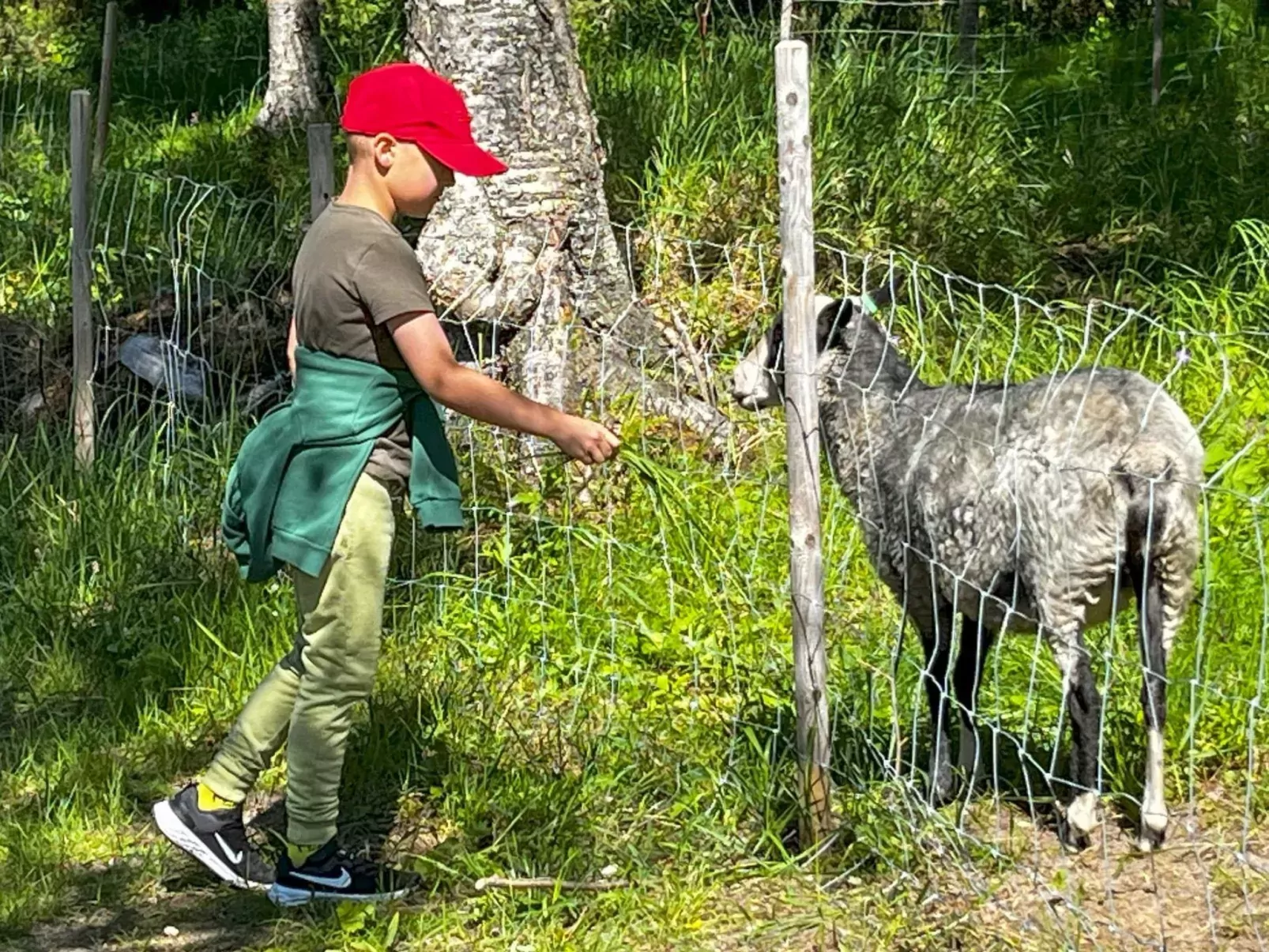 Samruam a kelohuvila-Buiten