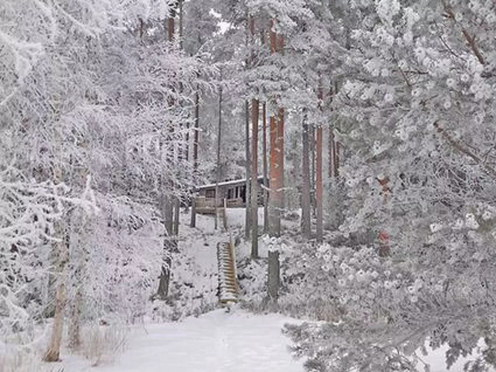 Näätämö