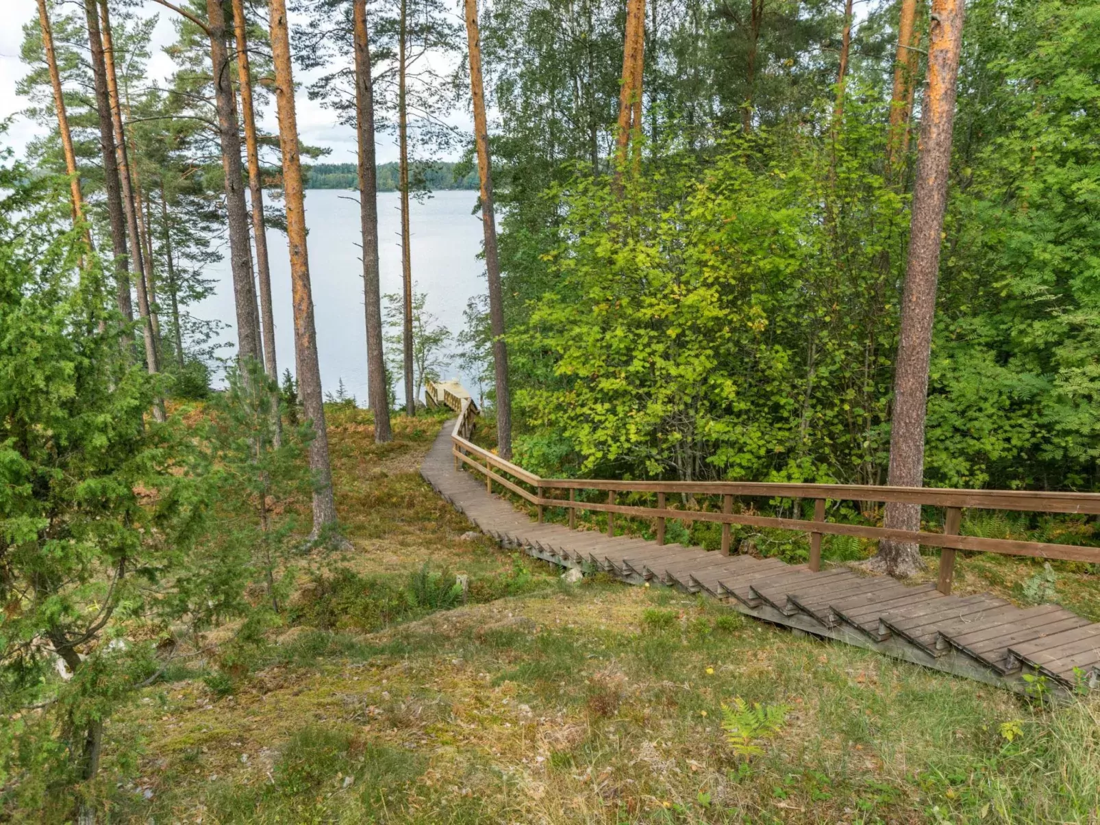 Metsä-iivari-Buiten
